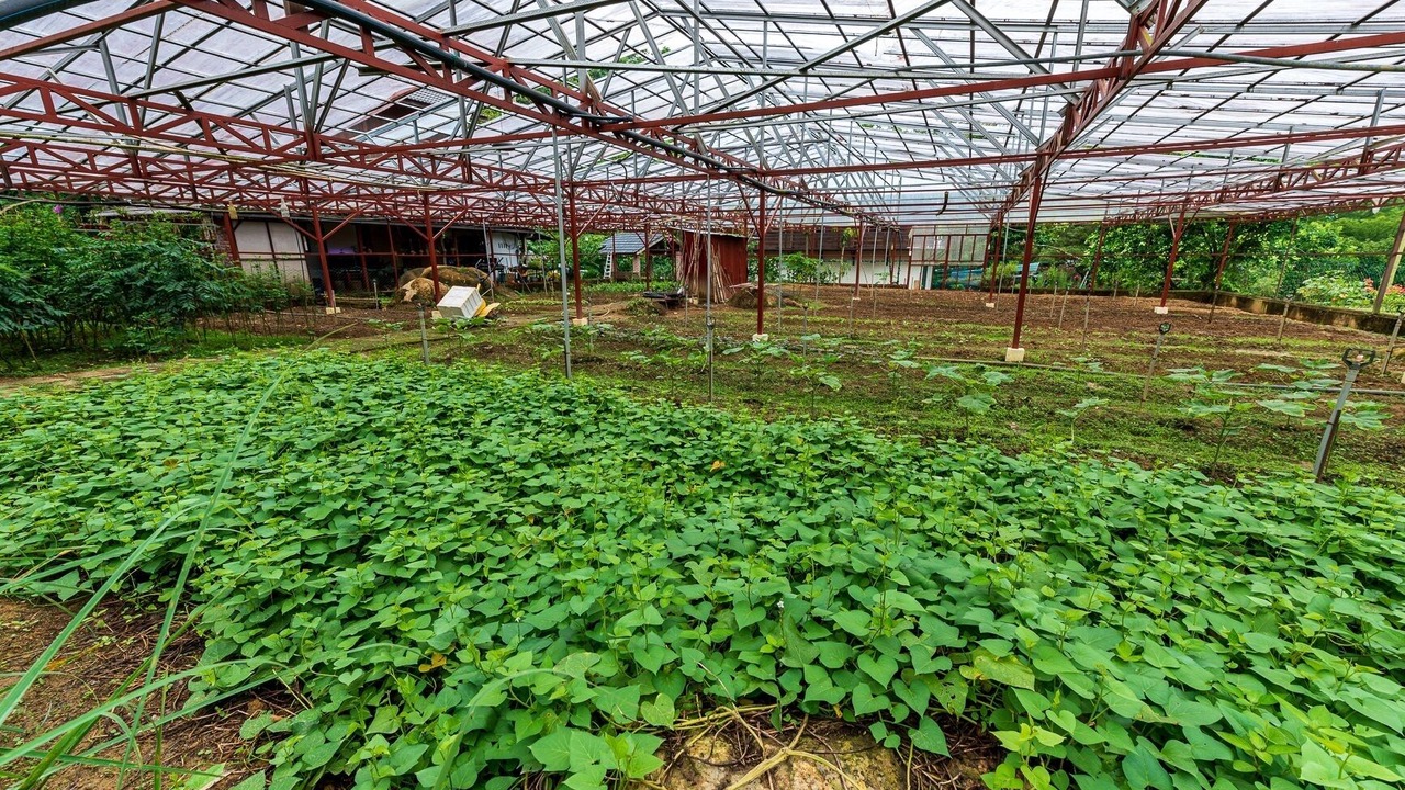 Photo of Outdoor in Teras