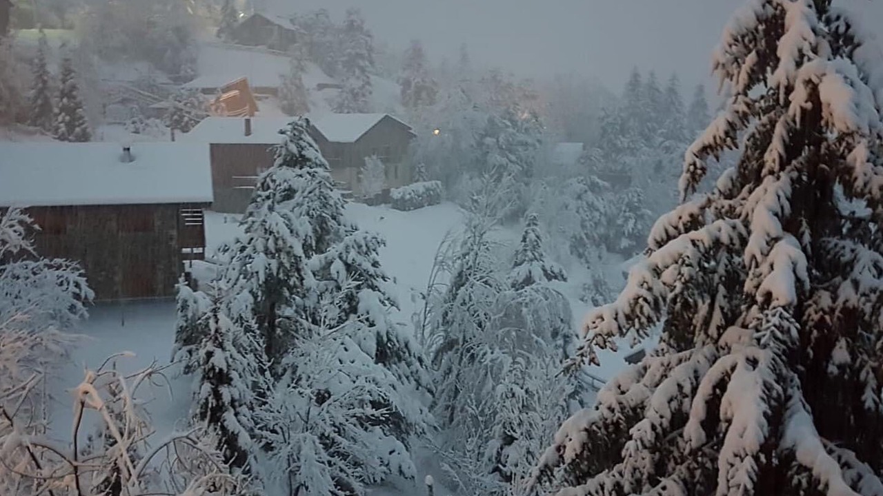 Photo of Outdoor in Alp