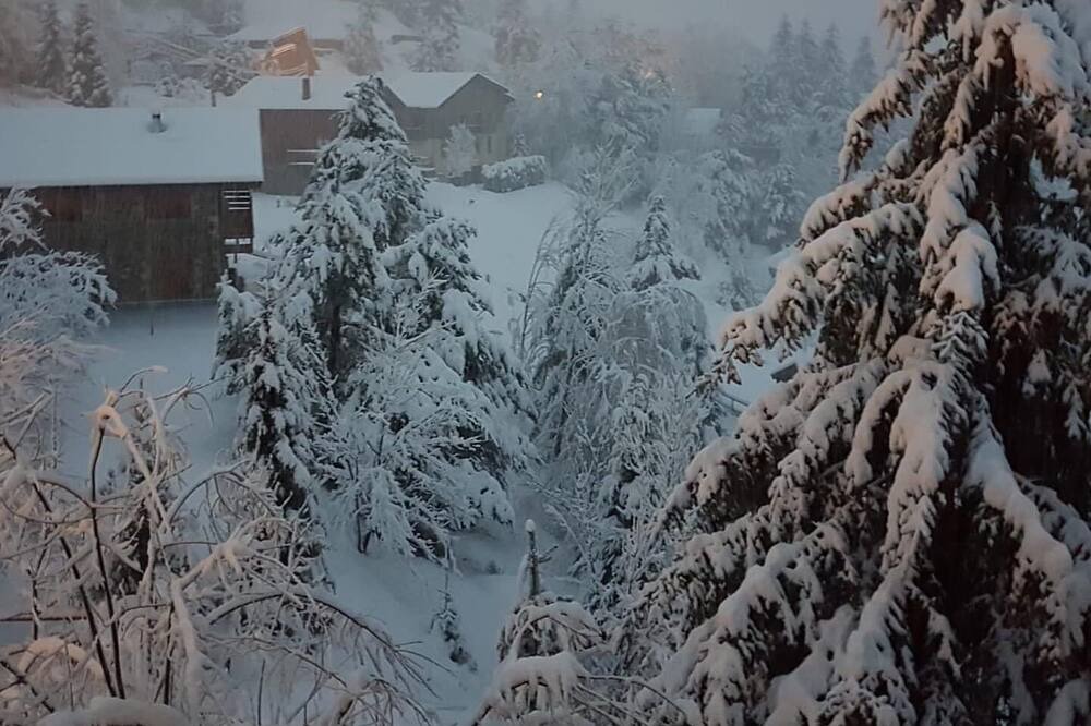 Photo of Outdoor in Alp