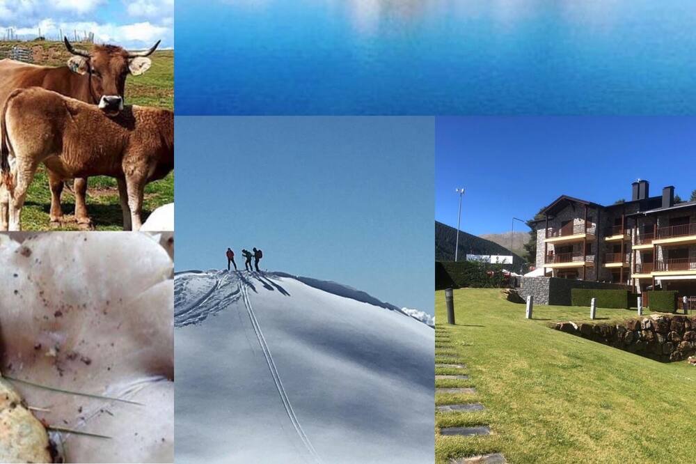 Photo of Outdoor in Alp