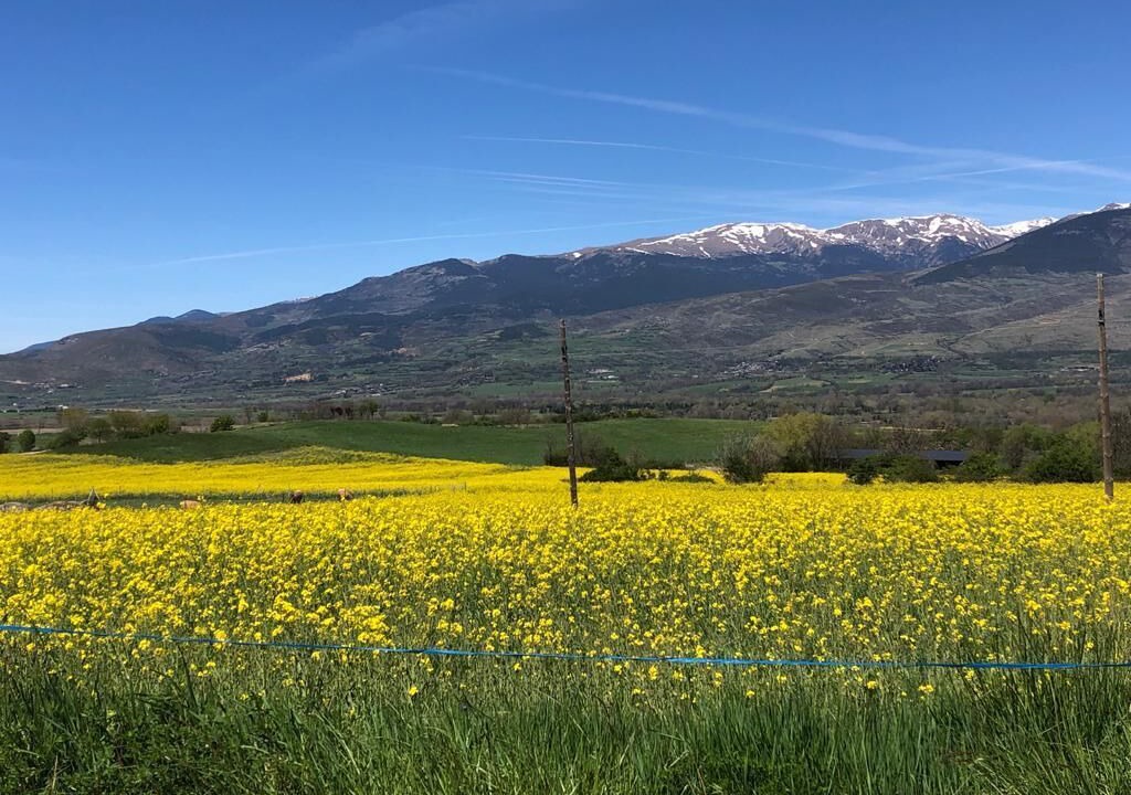 Photo of Outdoor in La Molina