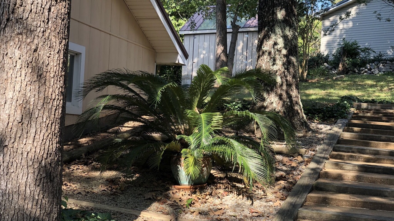 Photo of Outdoor in Grand Rivers