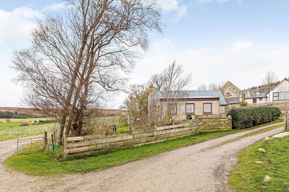 Photo of Others in Glenlivet