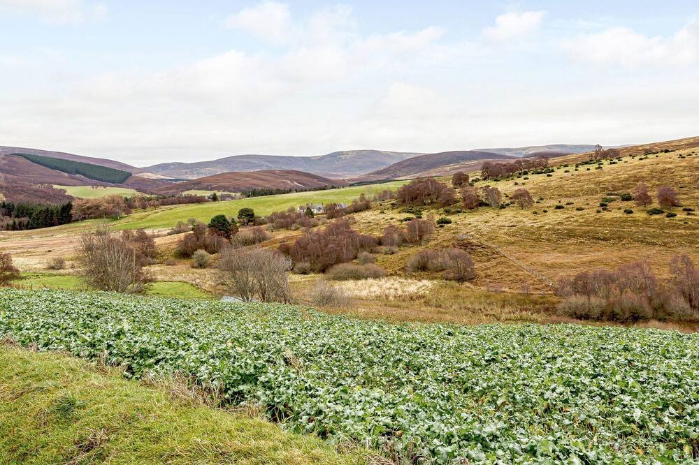 Photo of Outdoor in Glenlivet