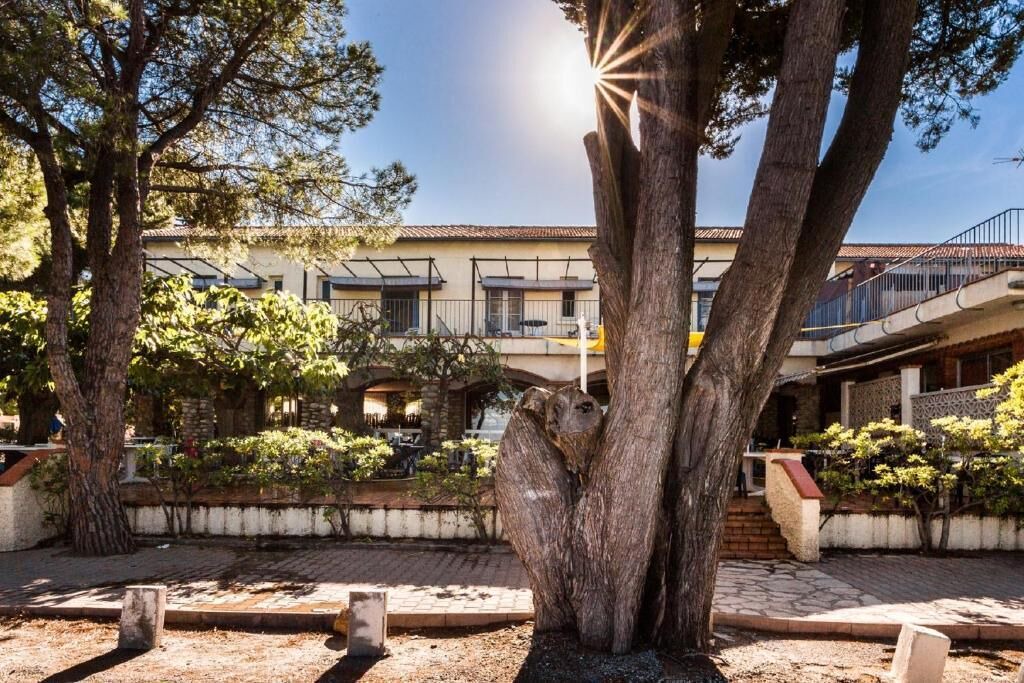 Photo of Outdoor in Plage d'Argeles