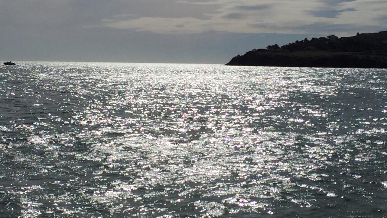 Photo of Others in Plage d'Argeles