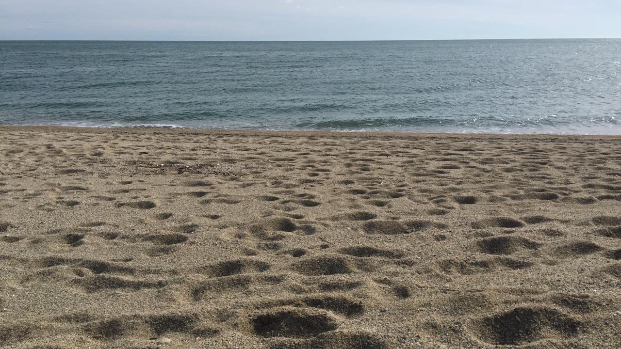 Photo of Others in Plage d'Argeles