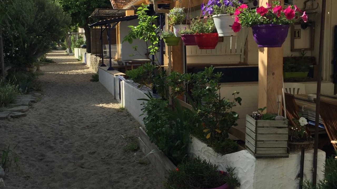 Photo of Outdoor in Plage d'Argeles