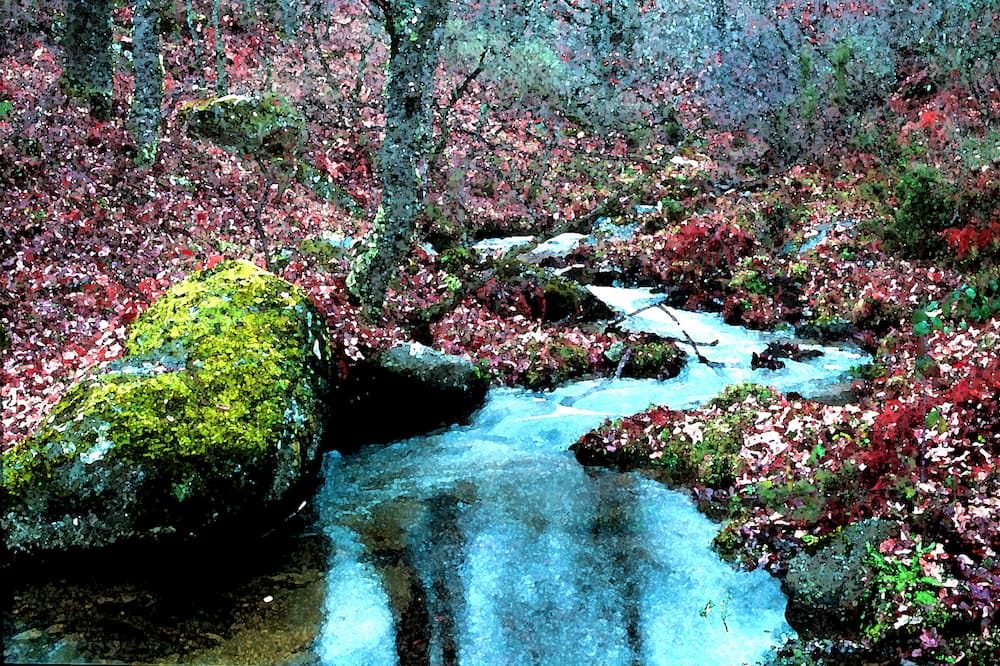 Photo of Outdoor in Braojos