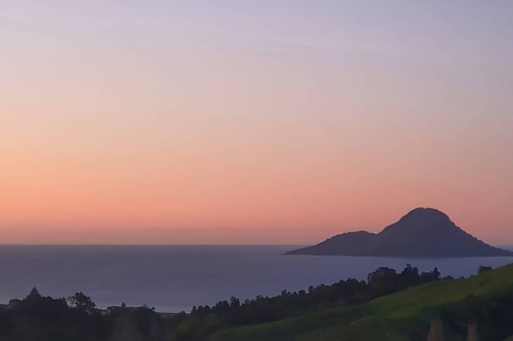 Photo of Others in Bay of Plenty Region