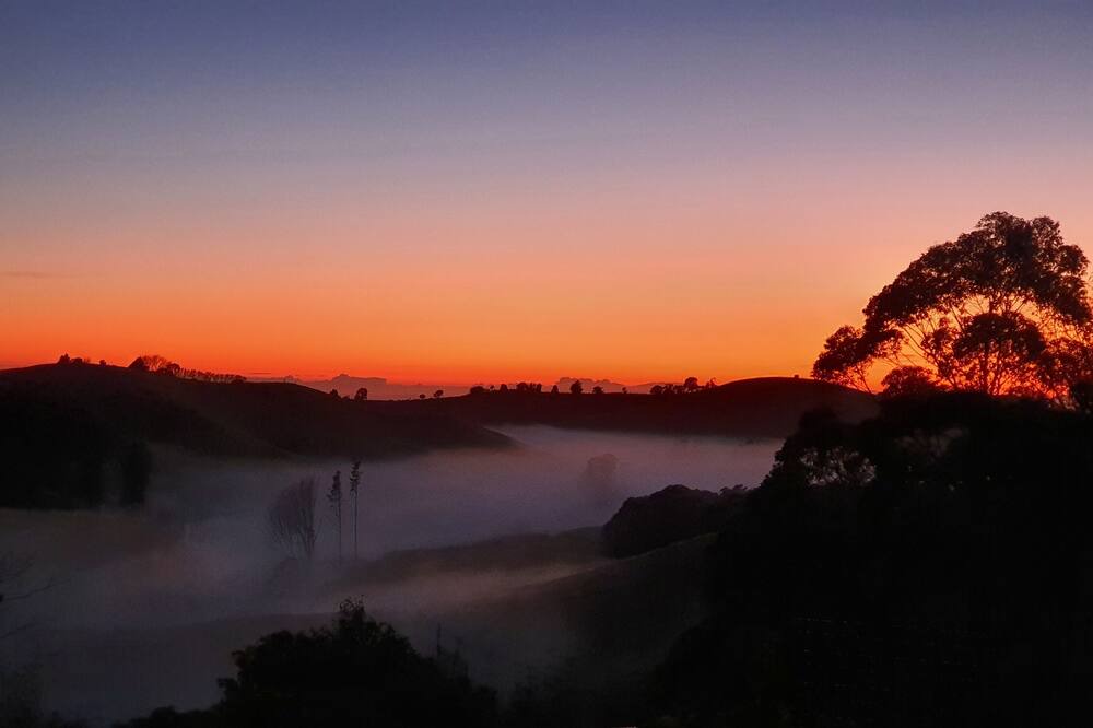 Photo of Others in Bay of Plenty Region