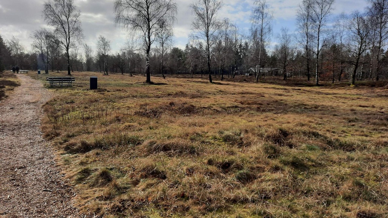 Photo of Others in Hojslev