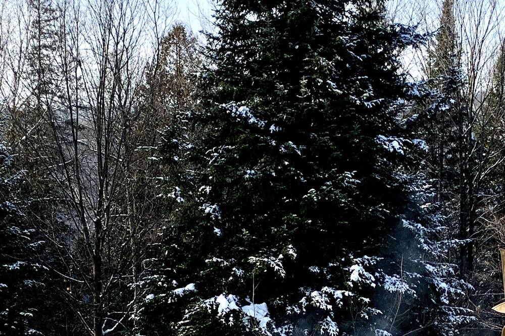 Photo of Others in Morin Heights