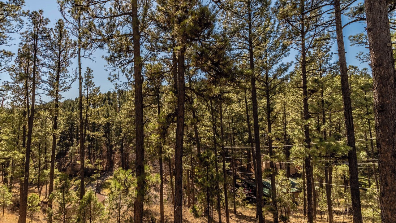 Photo of Others in Ruidoso