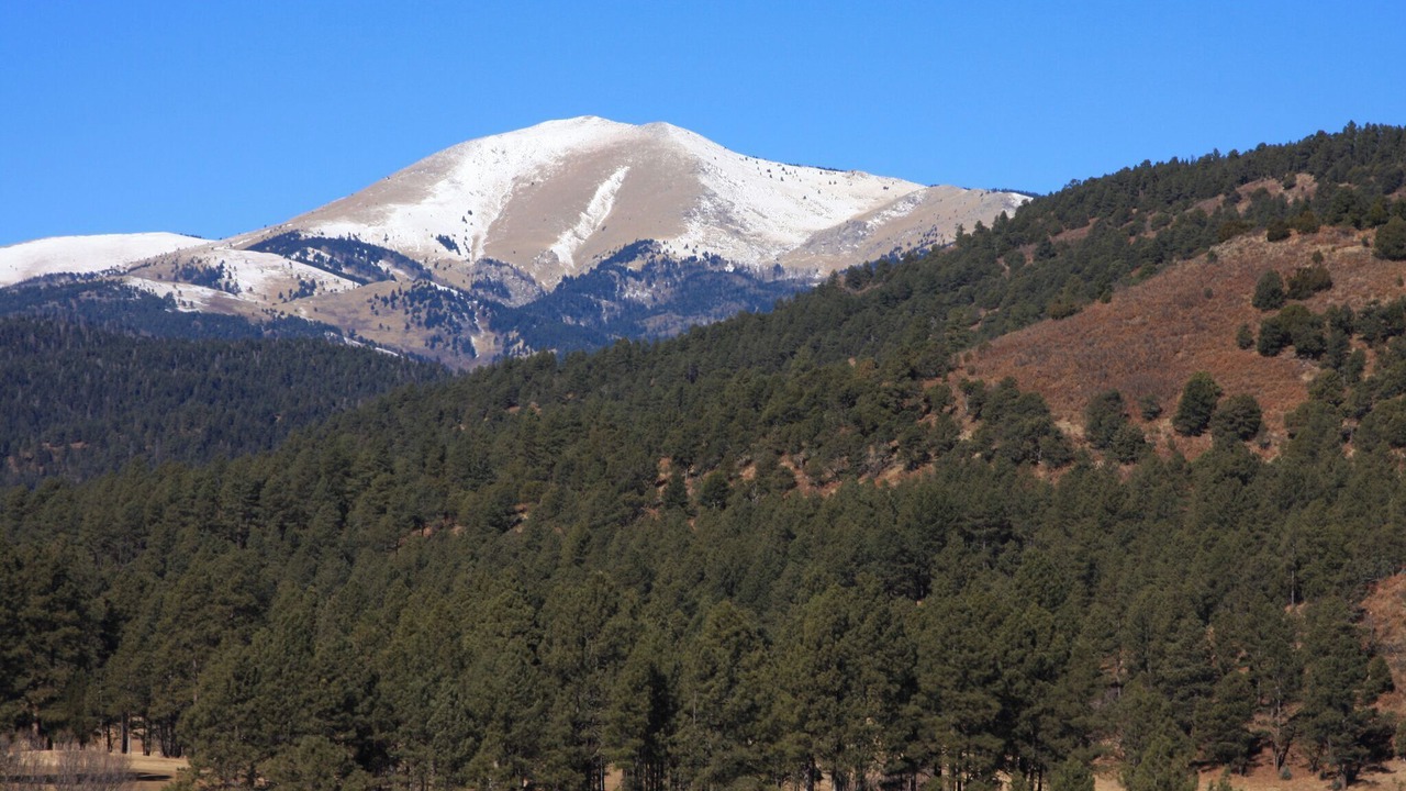 Photo of Others in Ruidoso