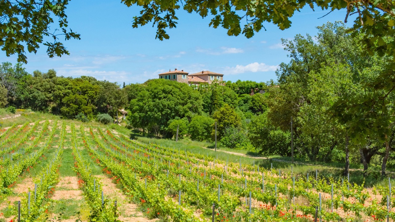 Photo of Others in Brue-Auriac