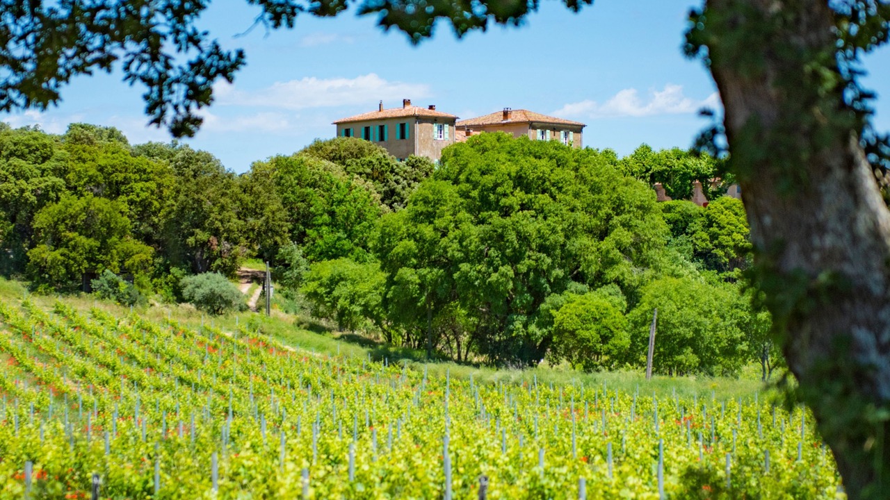 Photo of Others in Brue-Auriac