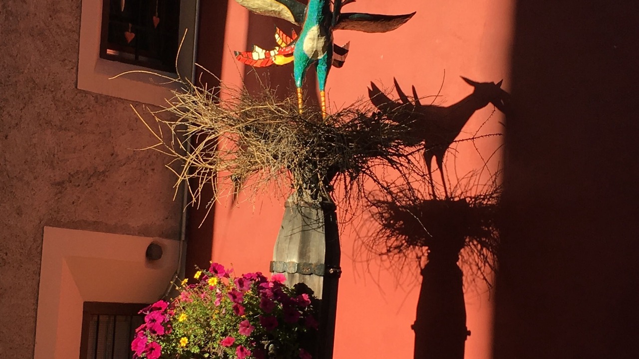 Photo of Outdoor in Pontresina