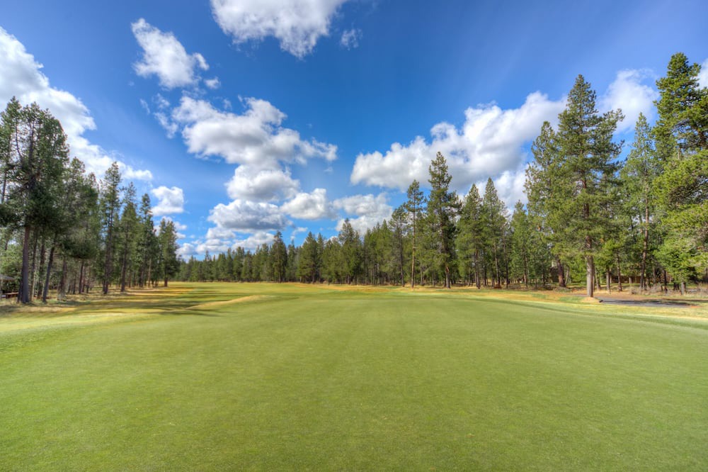 Photo of Others in Overlook Park