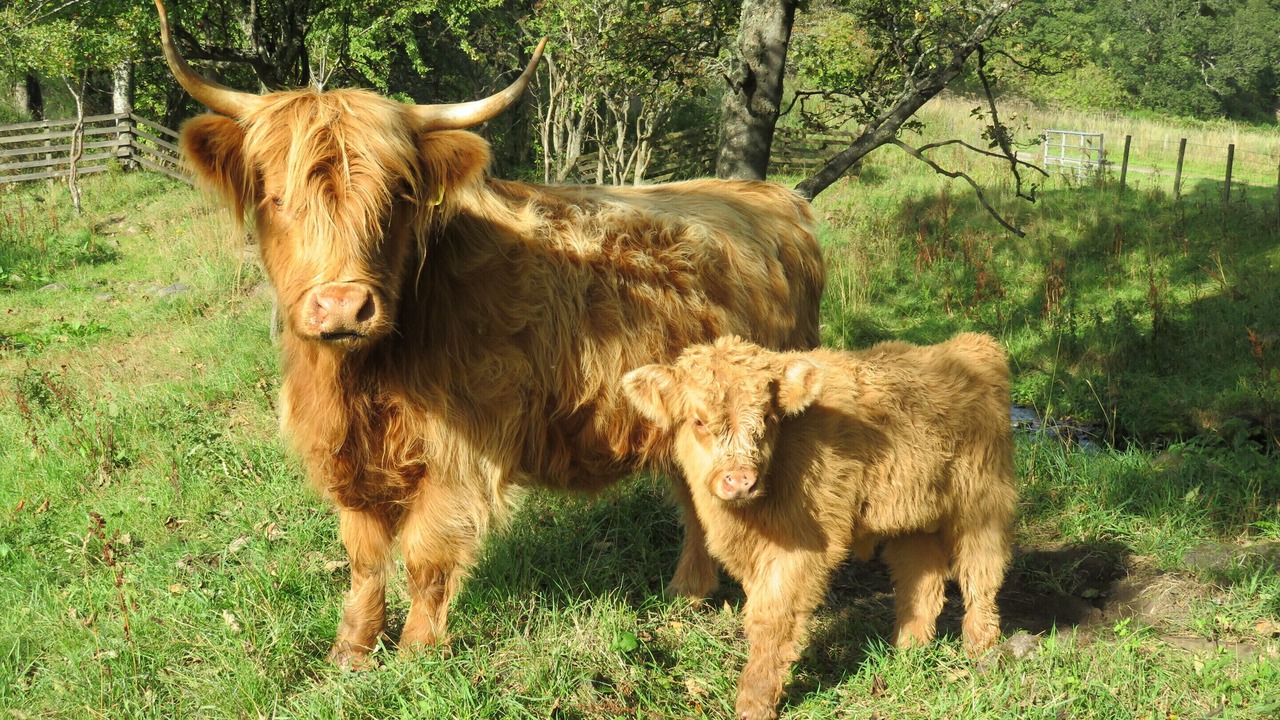 Photo of Others in Aberlour