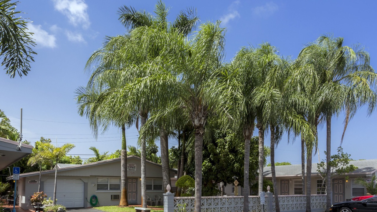 Photo of Outdoor in Hallandale Beach