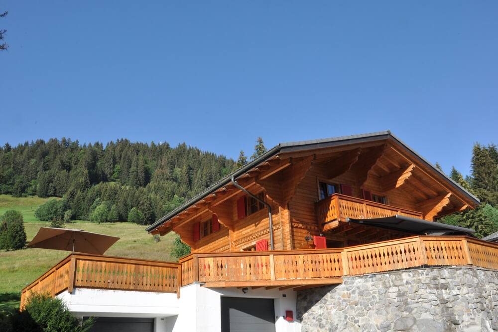 Photo of Outdoor in Ormont-Dessus