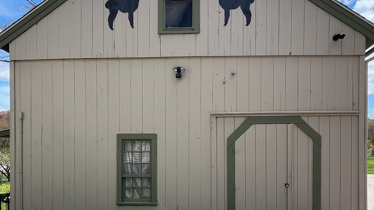 Photo of Outdoor in Bozrah