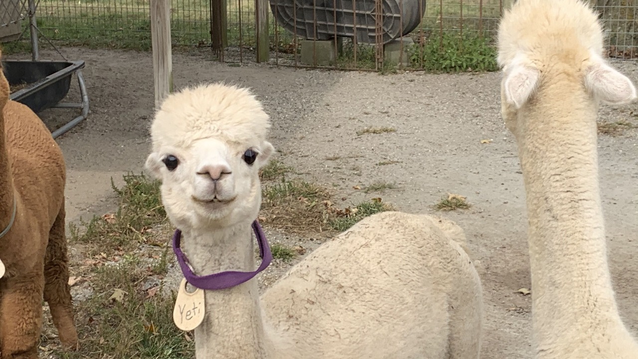 Photo of Outdoor in Bozrah