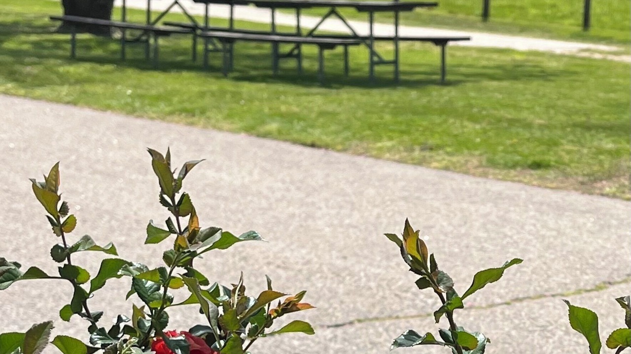 Photo of Outdoor in Bozrah