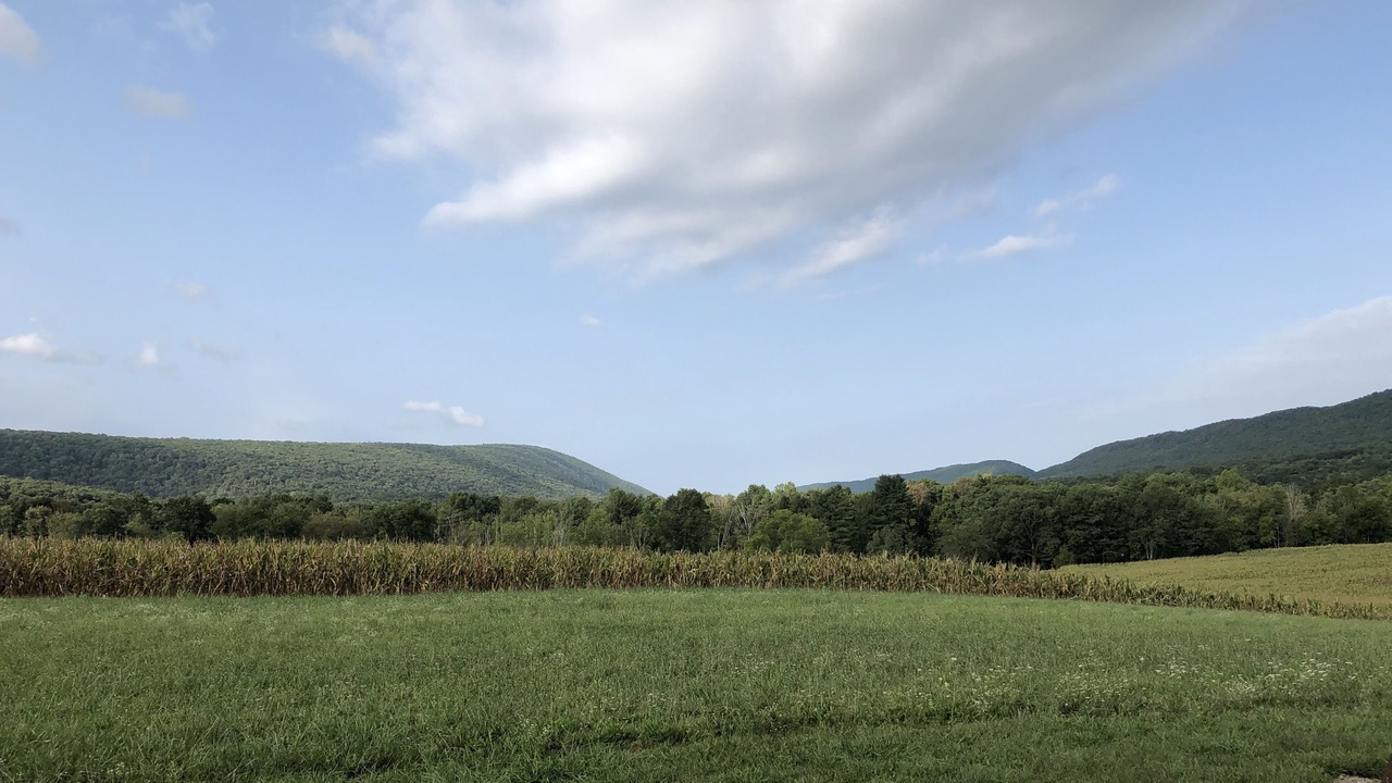 Photo of Outdoor in Weikert