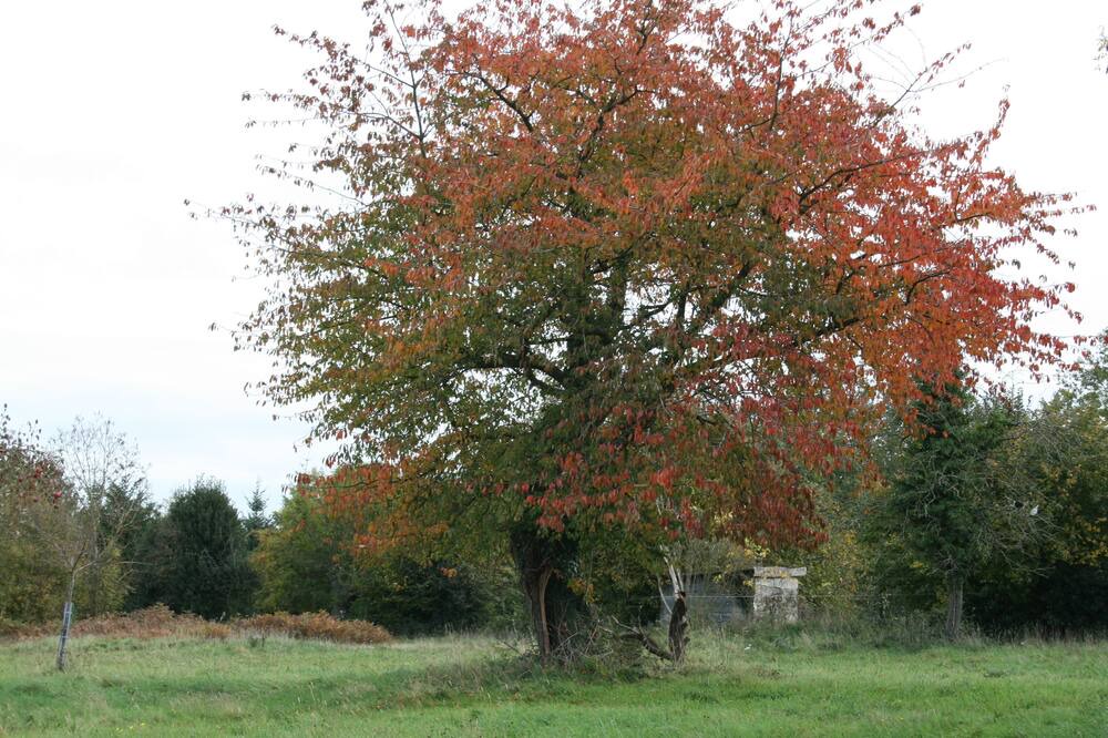 Photo of Outdoor in Fatouville-Grestain