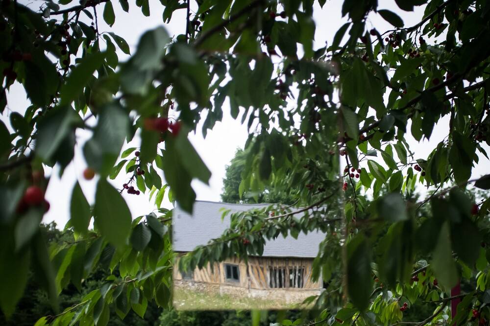 Photo of Outdoor in Fatouville-Grestain