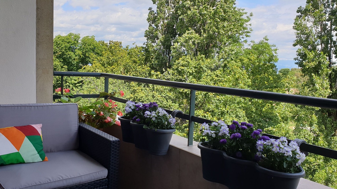 Photo of Outdoor in Les Eaux-Vives