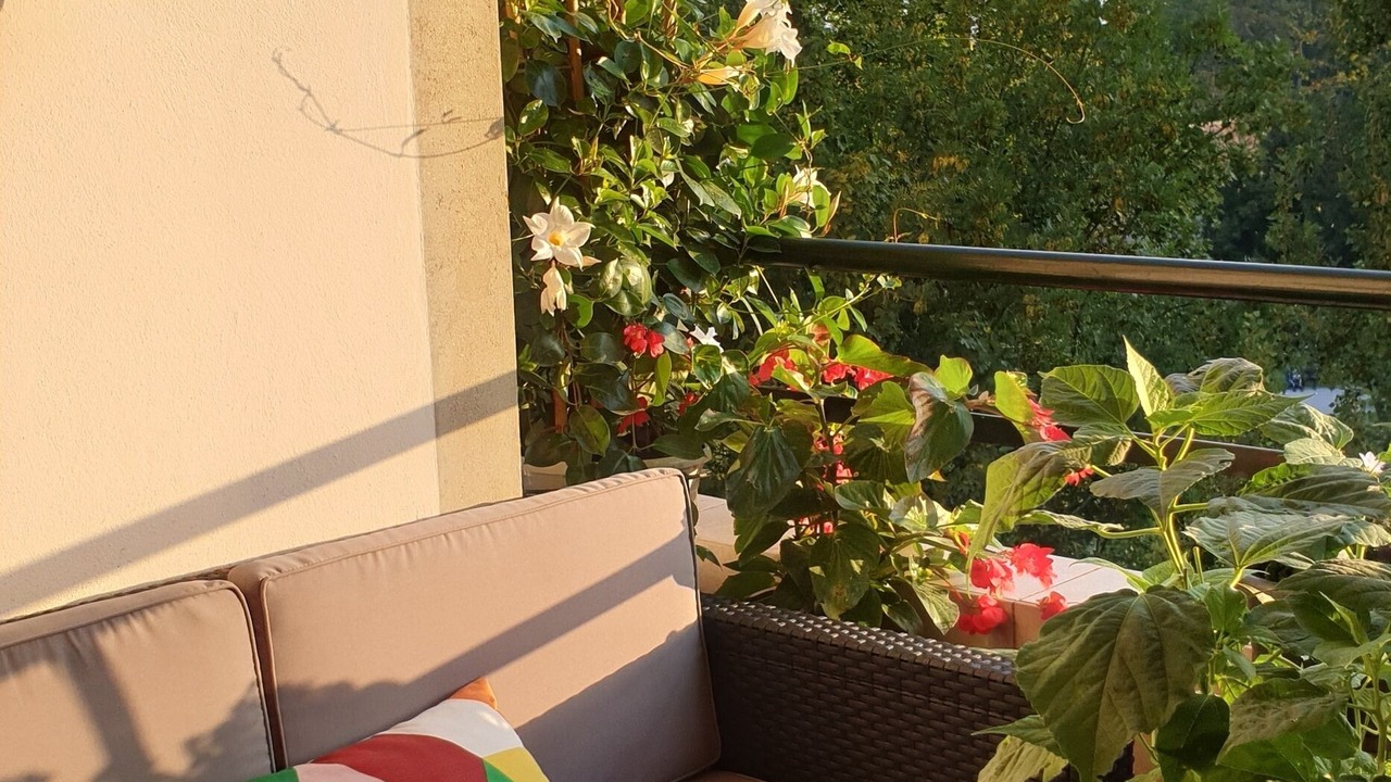 Photo of Outdoor in Les Eaux-Vives