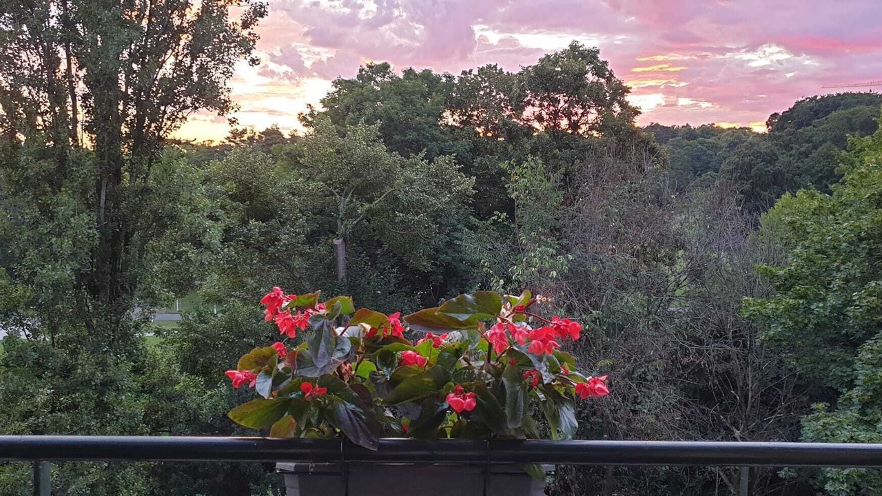 Photo of Outdoor in Les Eaux-Vives