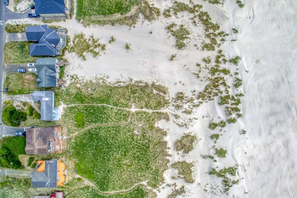 Photo of Others in Bayshore