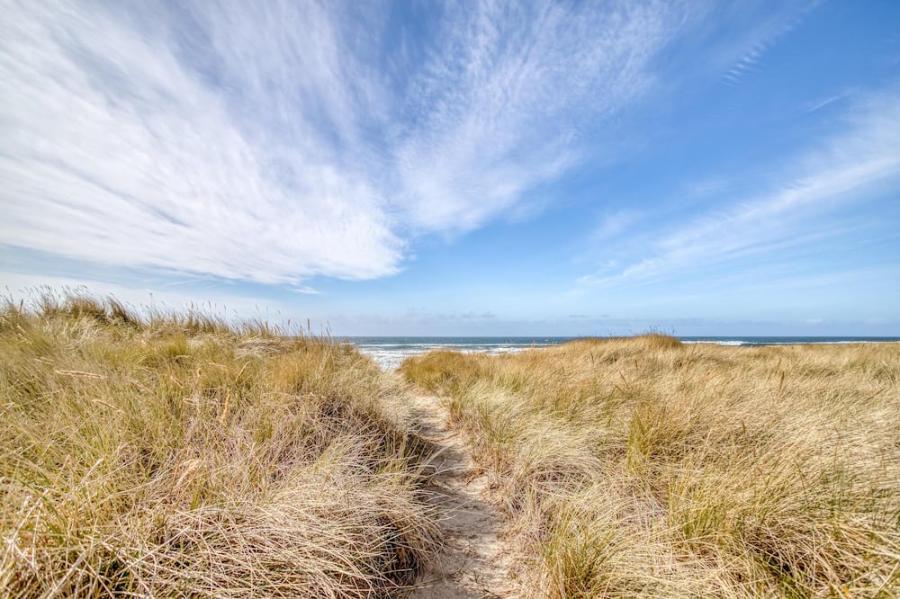 Photo of Others in Bayshore