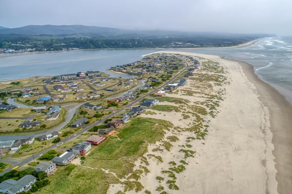 Photo of Others in Bayshore