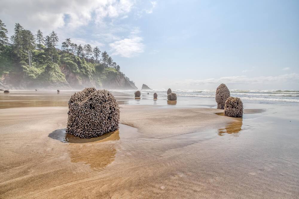 Photo of Others in Neskowin