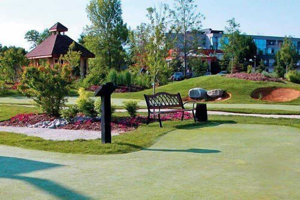 Photo of Outdoor in Collingwood