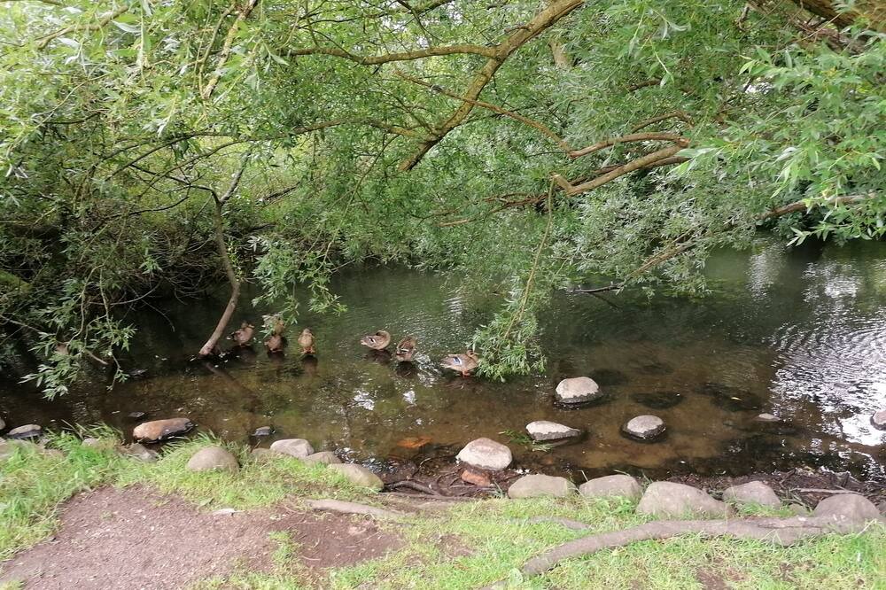 Photo of Outdoor in Ribe