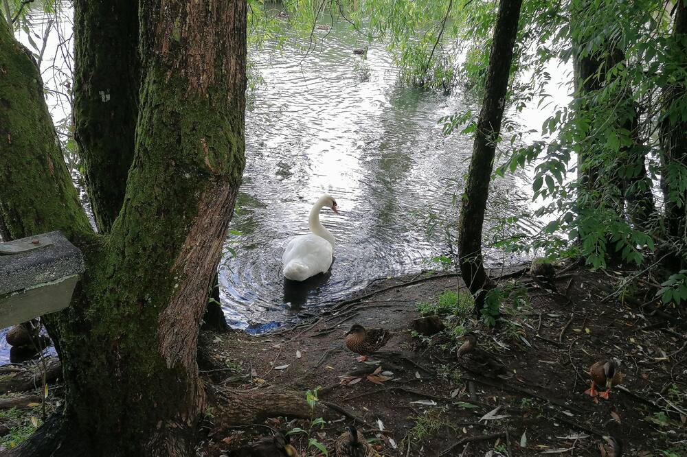 Photo of Outdoor in Ribe