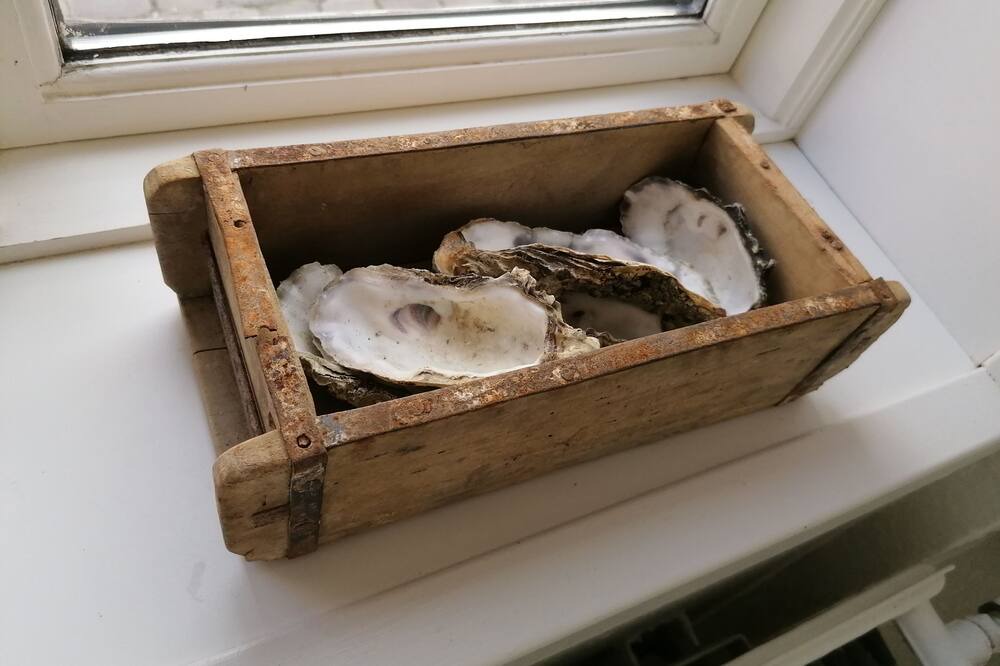 Photo of Bedroom in Ribe