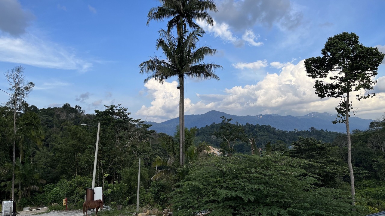 Photo of Outdoor in Janda Baik