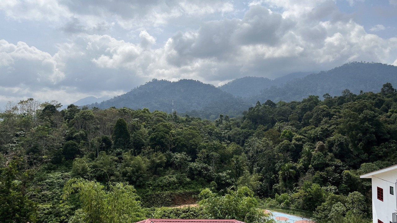 Photo of Others in Janda Baik