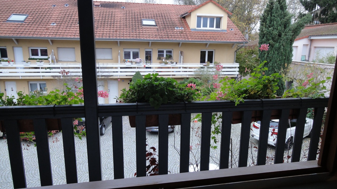 Photo of Outdoor in Koenigshoffen Est