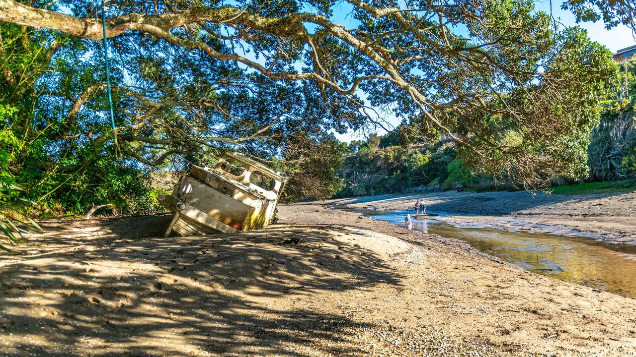 Photo of Others in Pukenui