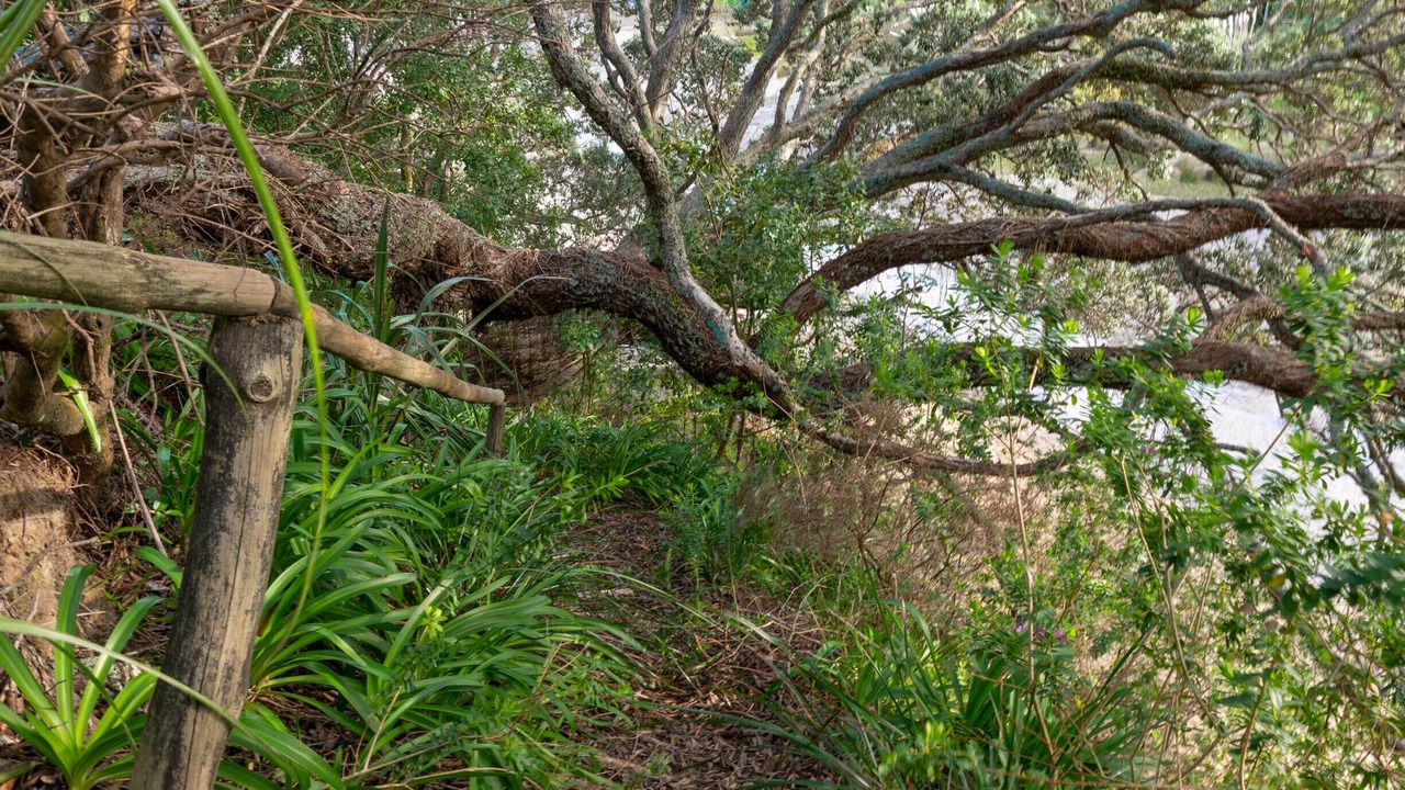 Photo of Outdoor in Pukenui