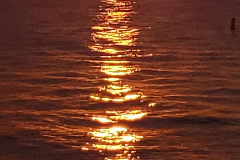 Photo of Others in Port Austin