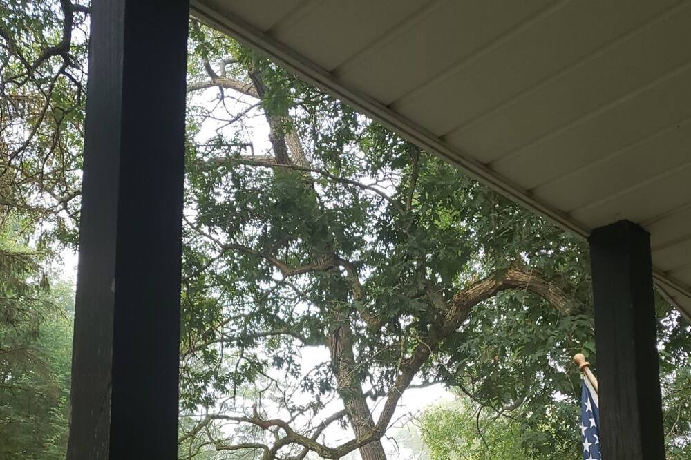 Photo of Outdoor in Port Austin